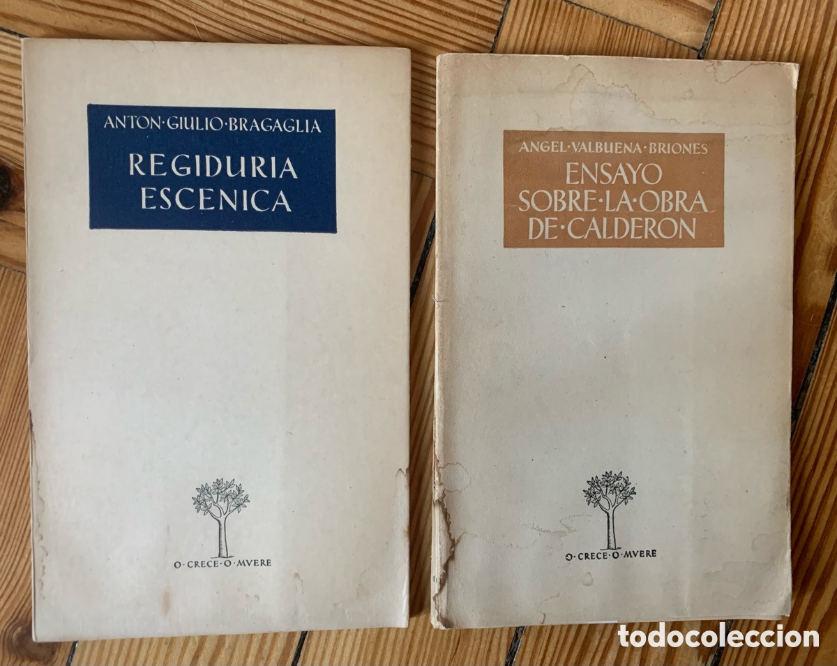 Libros antiguos: Pareja de libros antiguos - Foto 1
