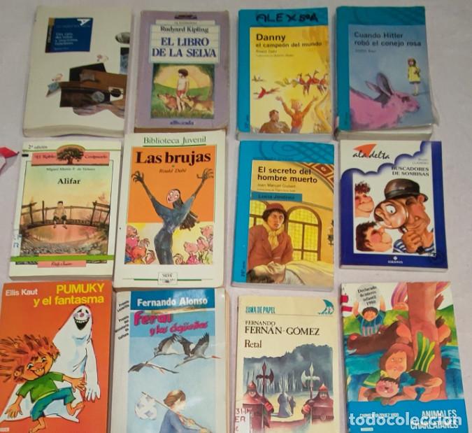 Libros antiguos: LOTE DE 12 LIBROS JUVENILES - Foto 1