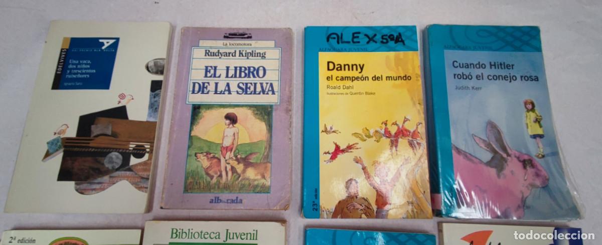 Libros antiguos: LOTE DE 12 LIBROS JUVENILES - Foto 2
