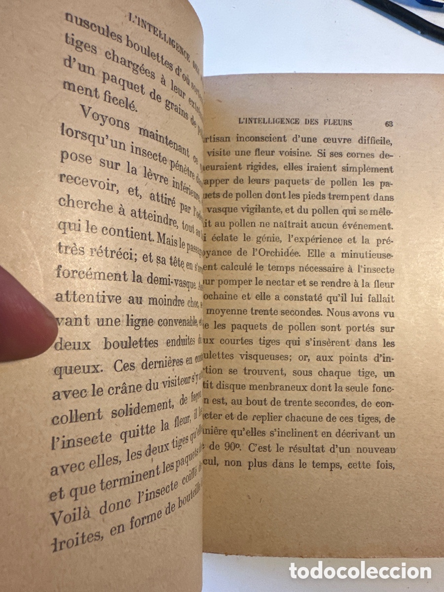Libros antiguos: MAETERLINCK; &rdquo;LINTELLIGENCE DES FLEURS&rdquo;. 1917 - Foto 3