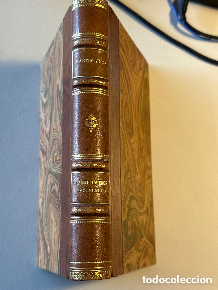 Libros antiguos: MAETERLINCK; &rdquo;LINTELLIGENCE DES FLEURS&rdquo;. 1917 - Foto 1
