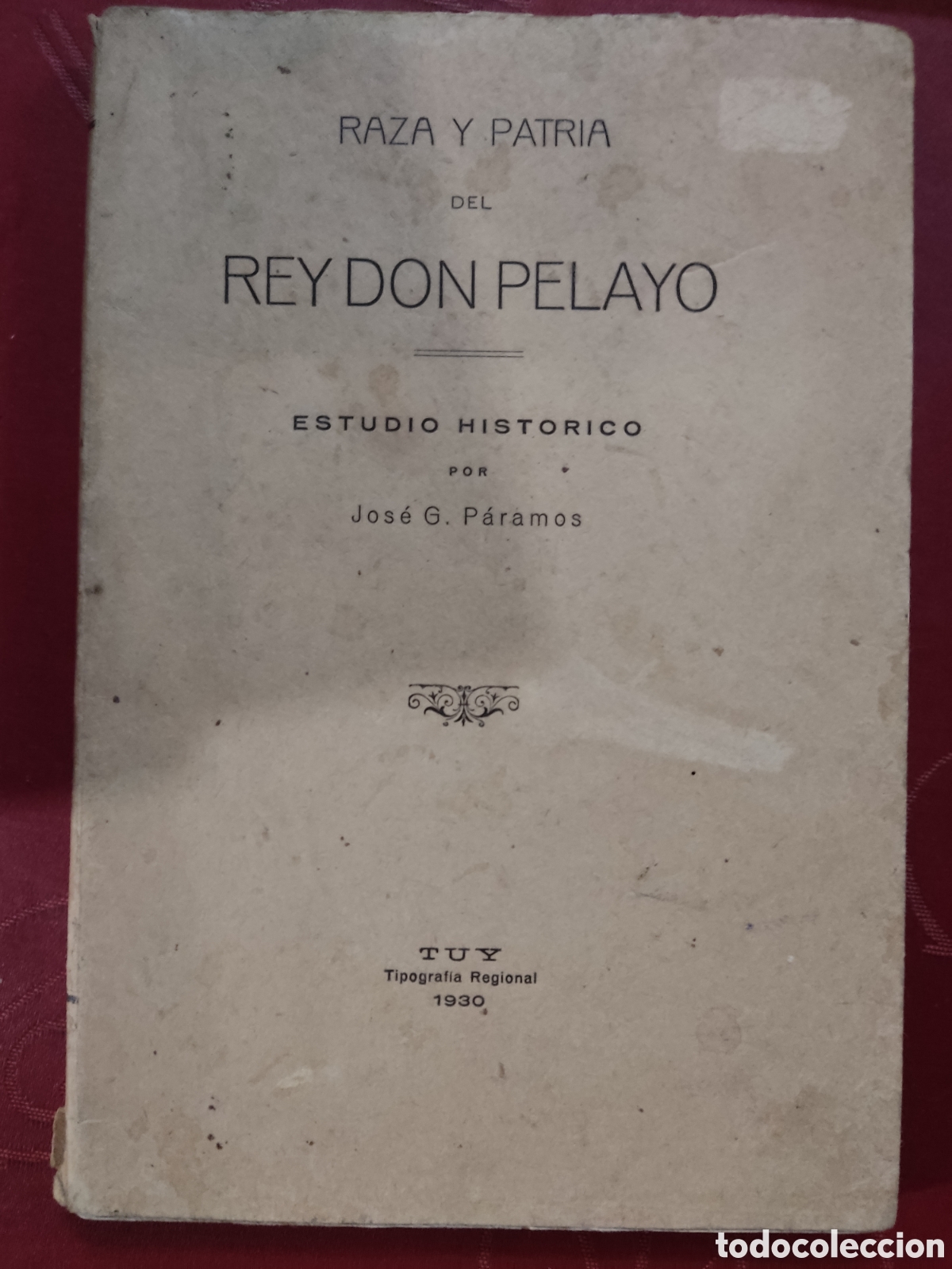 Libros antiguos: Raza y patria del Rey Don Pelayo - Foto 1