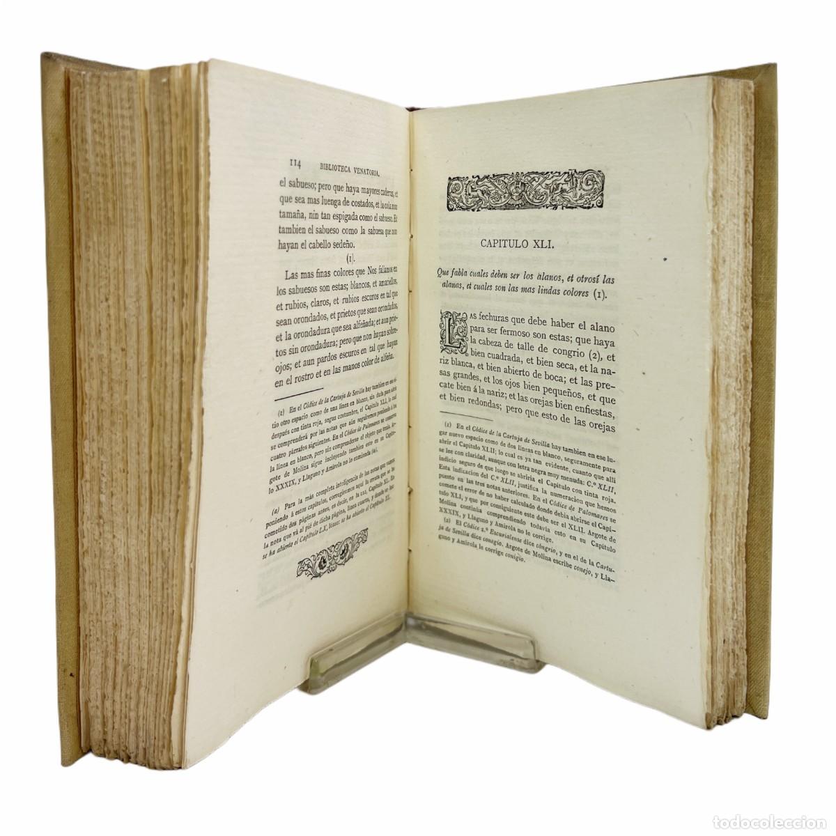 Libros antiguos: GUTI&Eacute;RREZ DE LA VEGA - BIBLIOTECA VENATORIA - 1877 - Foto 5