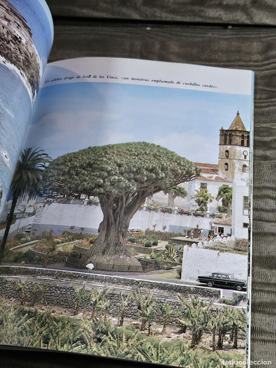 Libros antiguos: libro de conocer tenerife - Foto 7