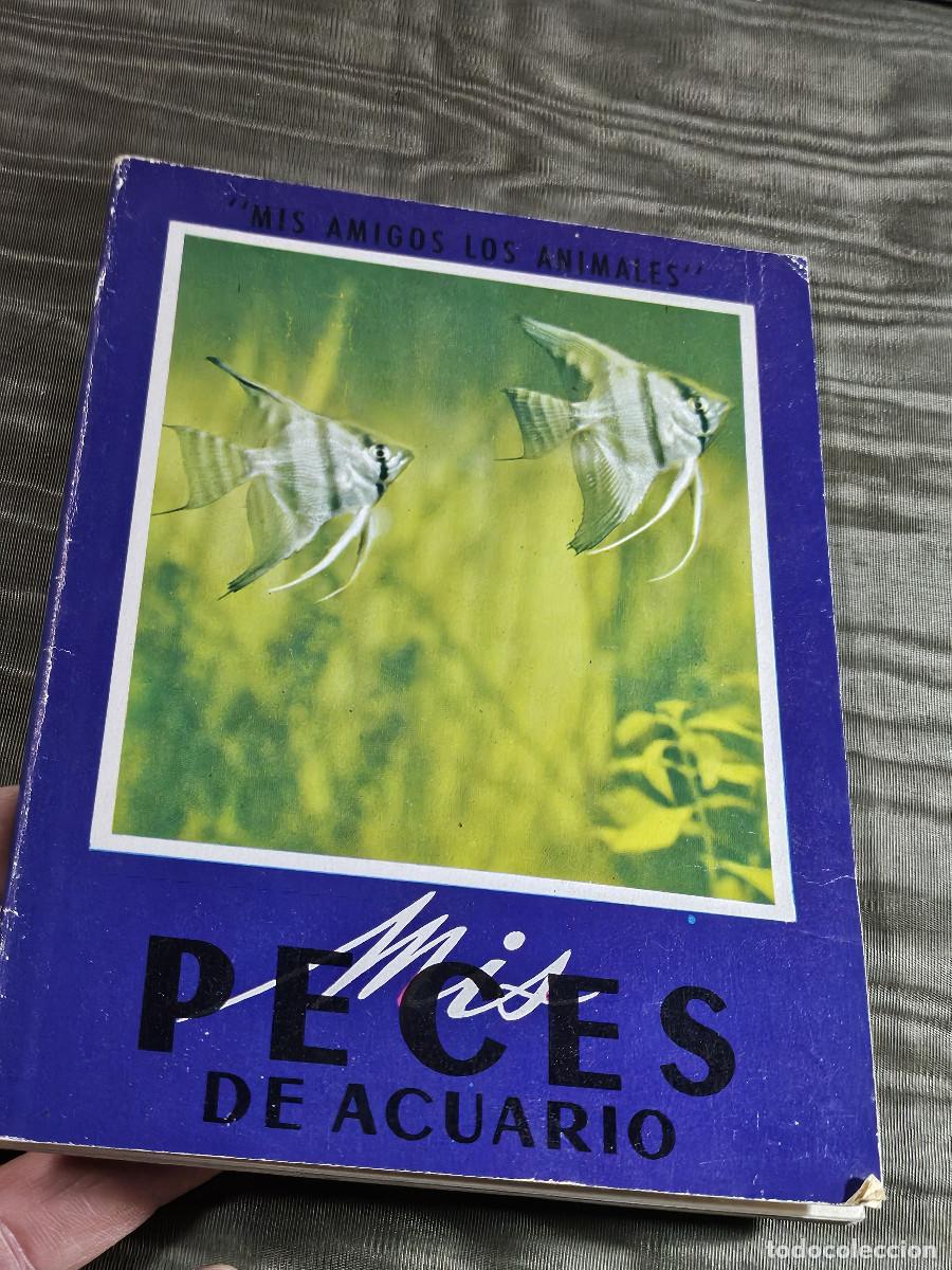 Libros antiguos: libro d elos pecxes de acuario - Foto 1