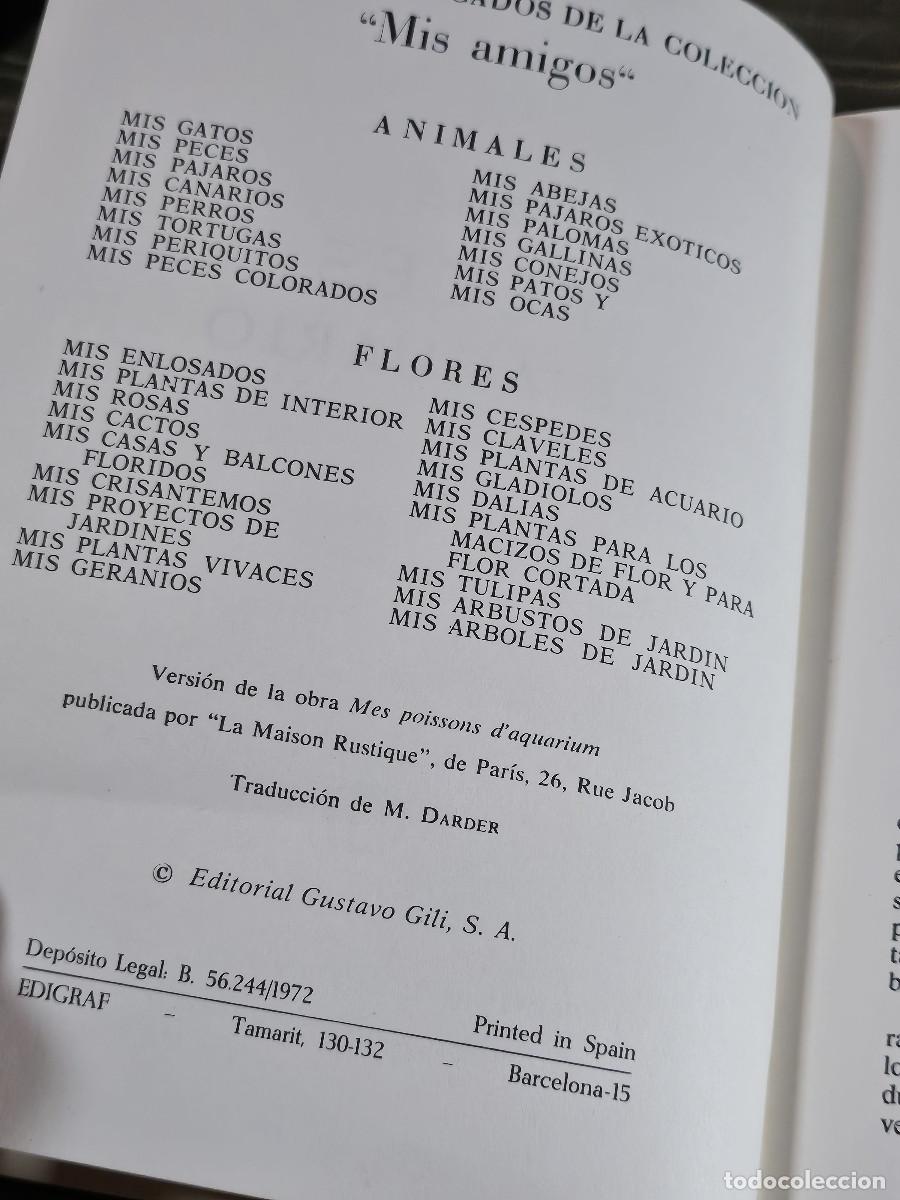 Libros antiguos: libro d elos pecxes de acuario - Foto 3