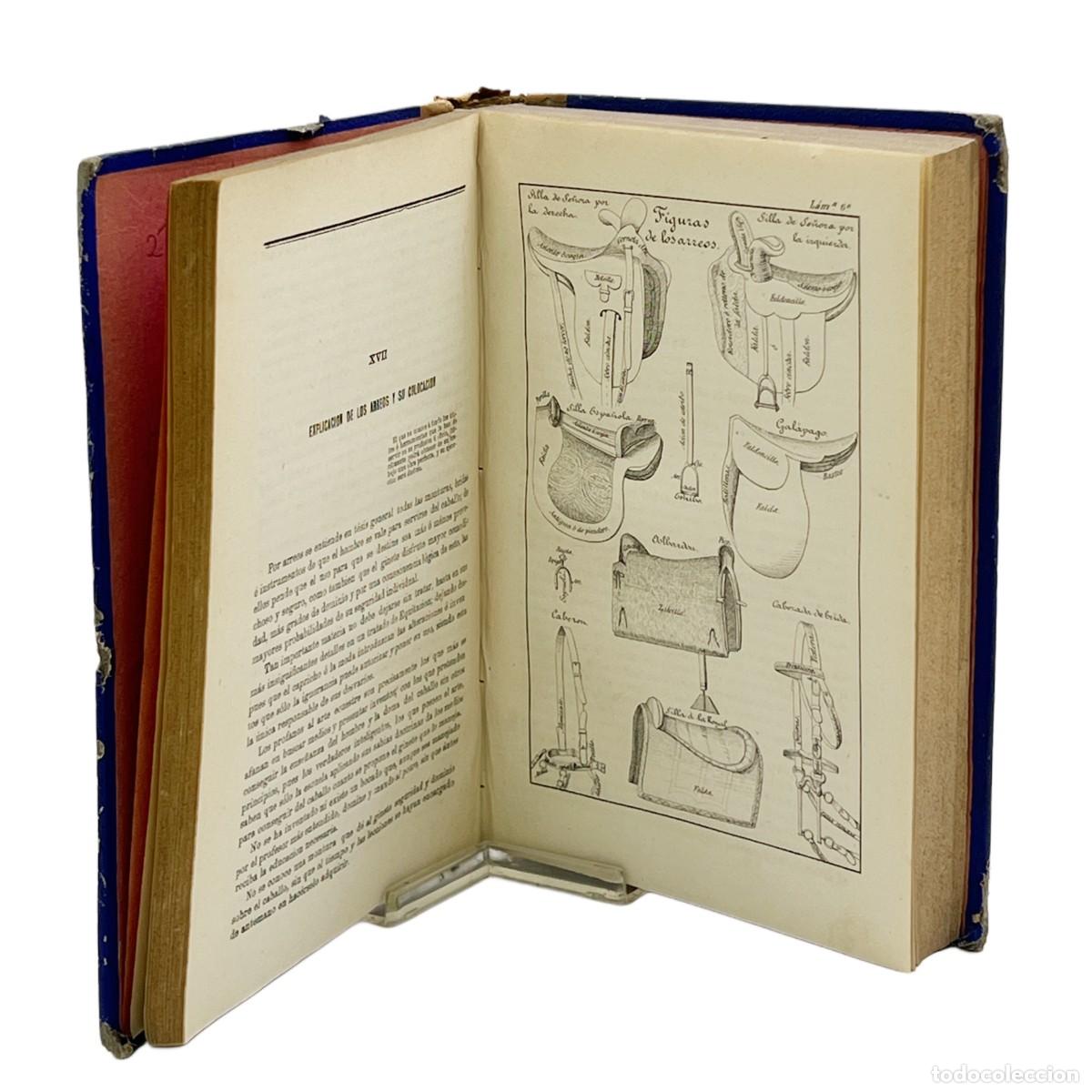 Libros antiguos: JOSE HIDALGO Y TERRON - EQUITACI&Oacute;N - 1883 - Foto 3