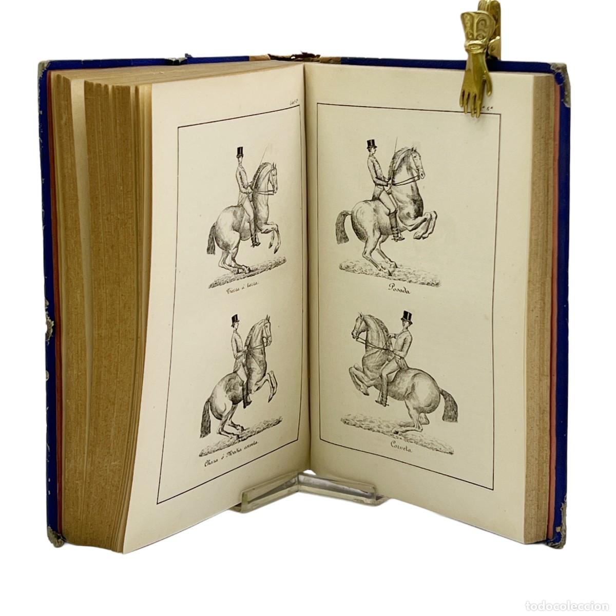 Libros antiguos: JOSE HIDALGO Y TERRON - EQUITACI&Oacute;N - 1883 - Foto 5