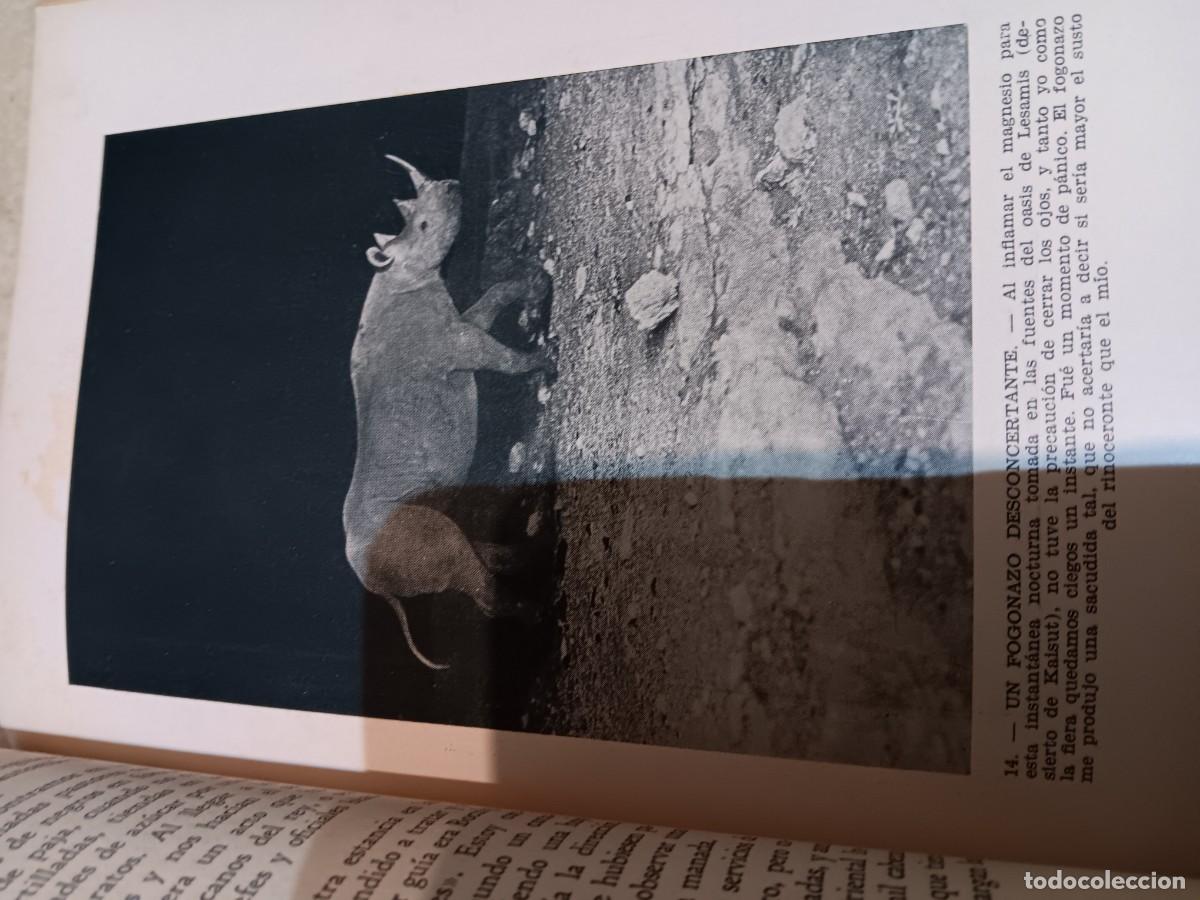 Libros antiguos: Lote de libros de caza primeras ediciones - Foto 6