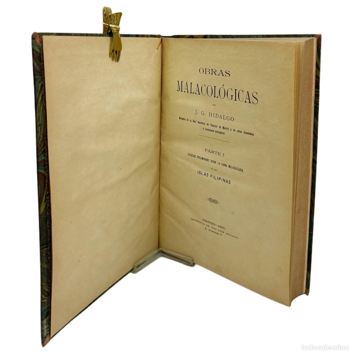 Libros antiguos: OBRAS MALACOL&Oacute;GICAS DE LAS ISLAS FILIPINAS - Foto 2