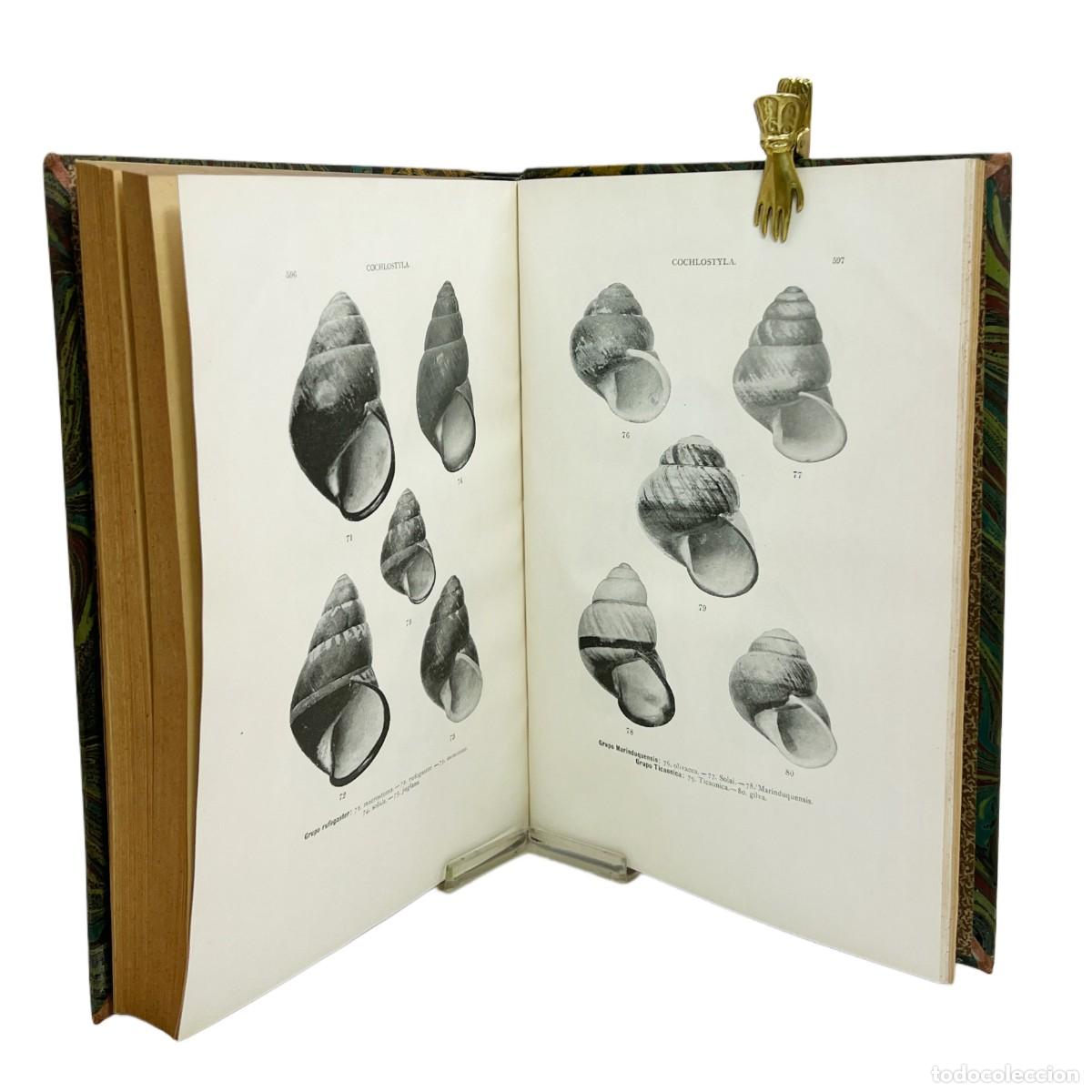 Libros antiguos: OBRAS MALACOL&Oacute;GICAS DE LAS ISLAS FILIPINAS - Foto 4