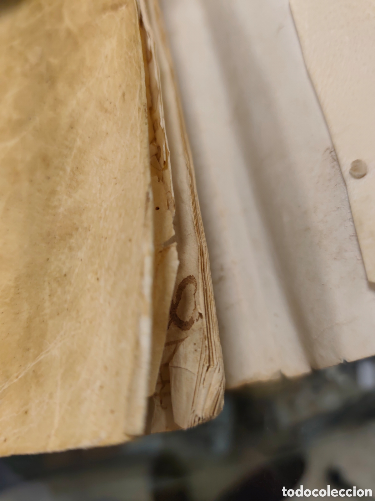 Libros antiguos: Libro manuscrito en pergamino &ndash; &ldquo;Libro de Restos&hellip; A&ntilde;o de 1708&rdquo; &ndash; - Foto 15