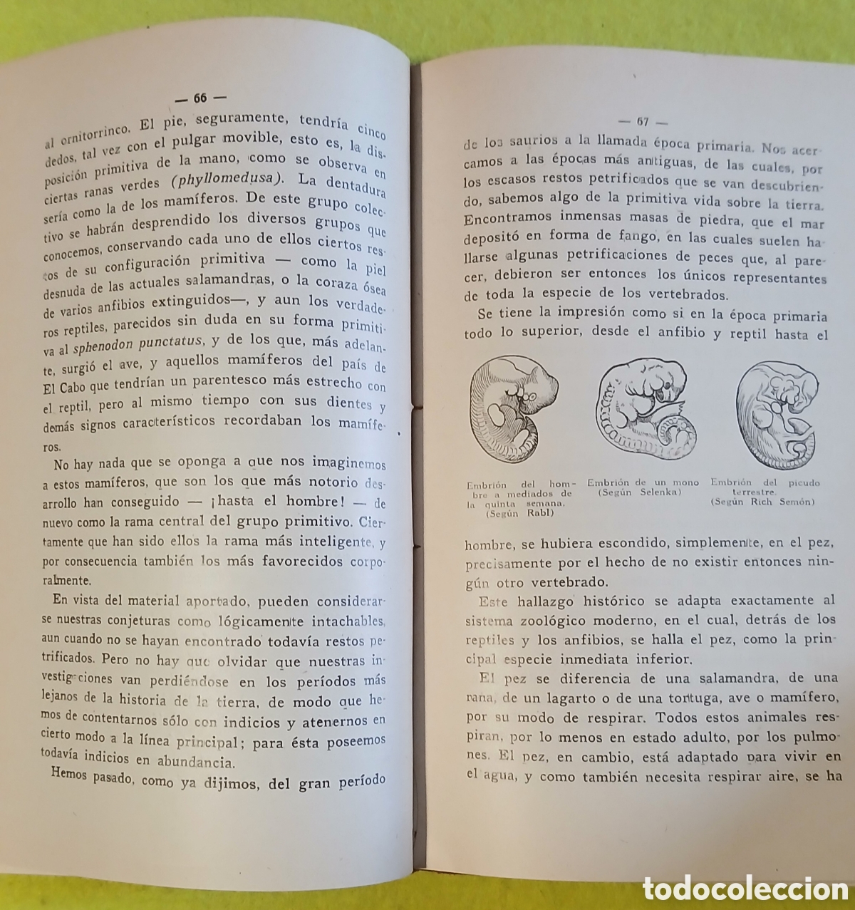 Libros antiguos: Tu y el universo, coleccion orbis - Foto 6