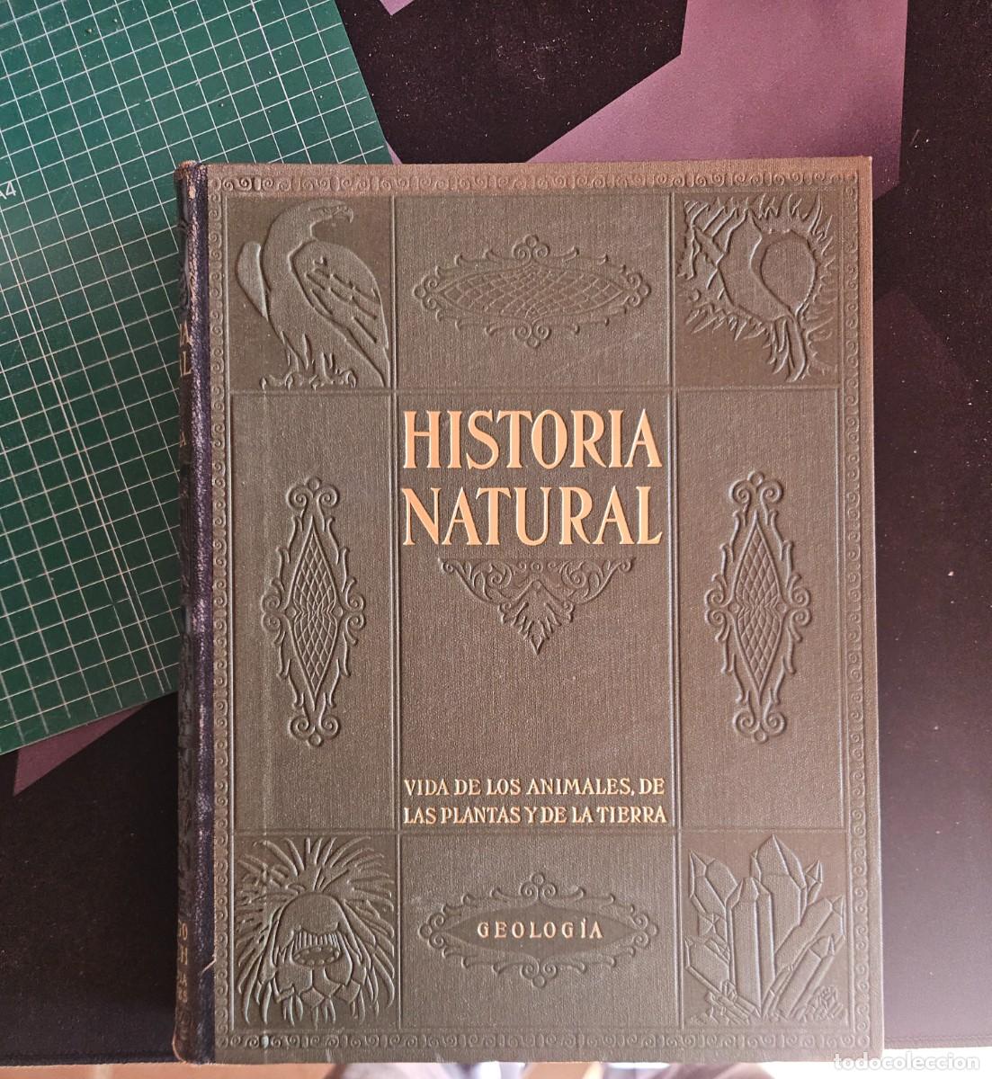 Libros antiguos: Las razas humanas desde inicio civilizaci&oacute;n