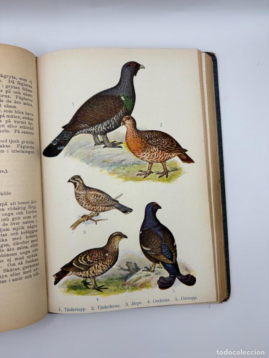 Libros antiguos: Iduns Kokbok - Utgiven Av Elisabeth &Uuml;stman - Libro en Dan&eacute;s - 1911 - Foto 11