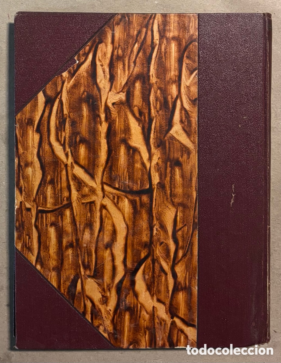 Libros antiguos: EL PARA&Iacute;SO PERDIDO. MILTON. JOAQU&Iacute;N GIL EDITOR 1935. - Foto 9