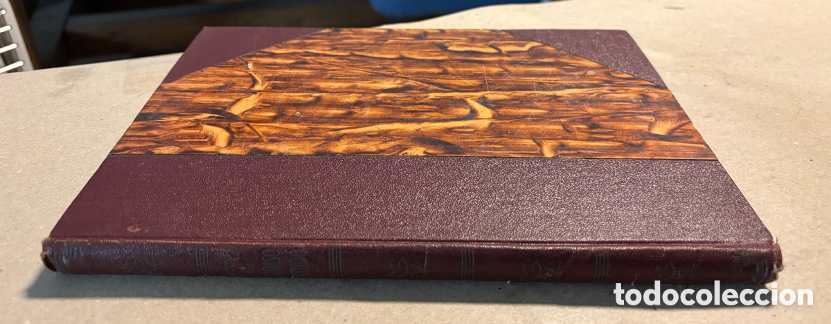Libros antiguos: EL PARA&Iacute;SO PERDIDO. MILTON. JOAQU&Iacute;N GIL EDITOR 1935. - Foto 10