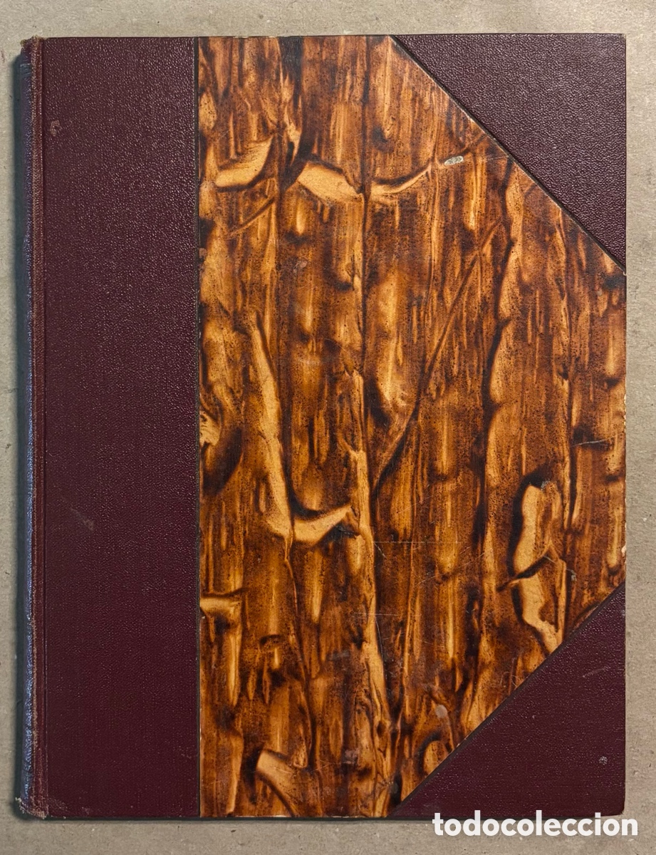 Libros antiguos: EL PARA&Iacute;SO PERDIDO. MILTON. JOAQU&Iacute;N GIL EDITOR 1935. - Foto 1