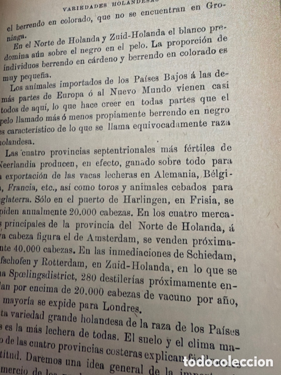 Libros antiguos: Zootecnica Sans&oacute;n tomo 1-4 - Foto 3