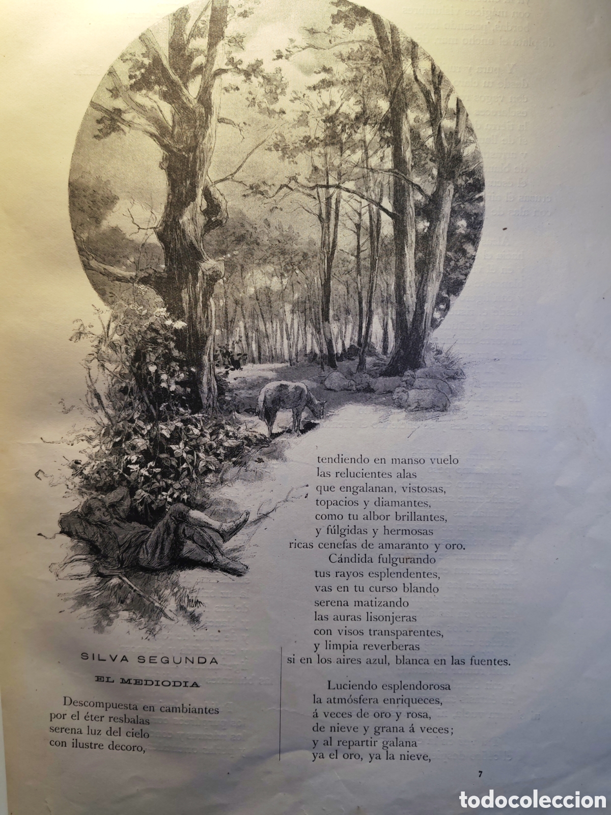 Libros antiguos: OBRAS COMPLETAS DE D.RAMON DE CAMPOAMOR. 1888 - Foto 4