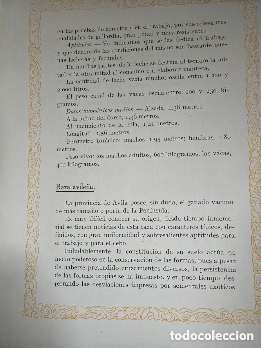 Libros antiguos: La ganader&iacute;a espa&ntilde;ola - Foto 3