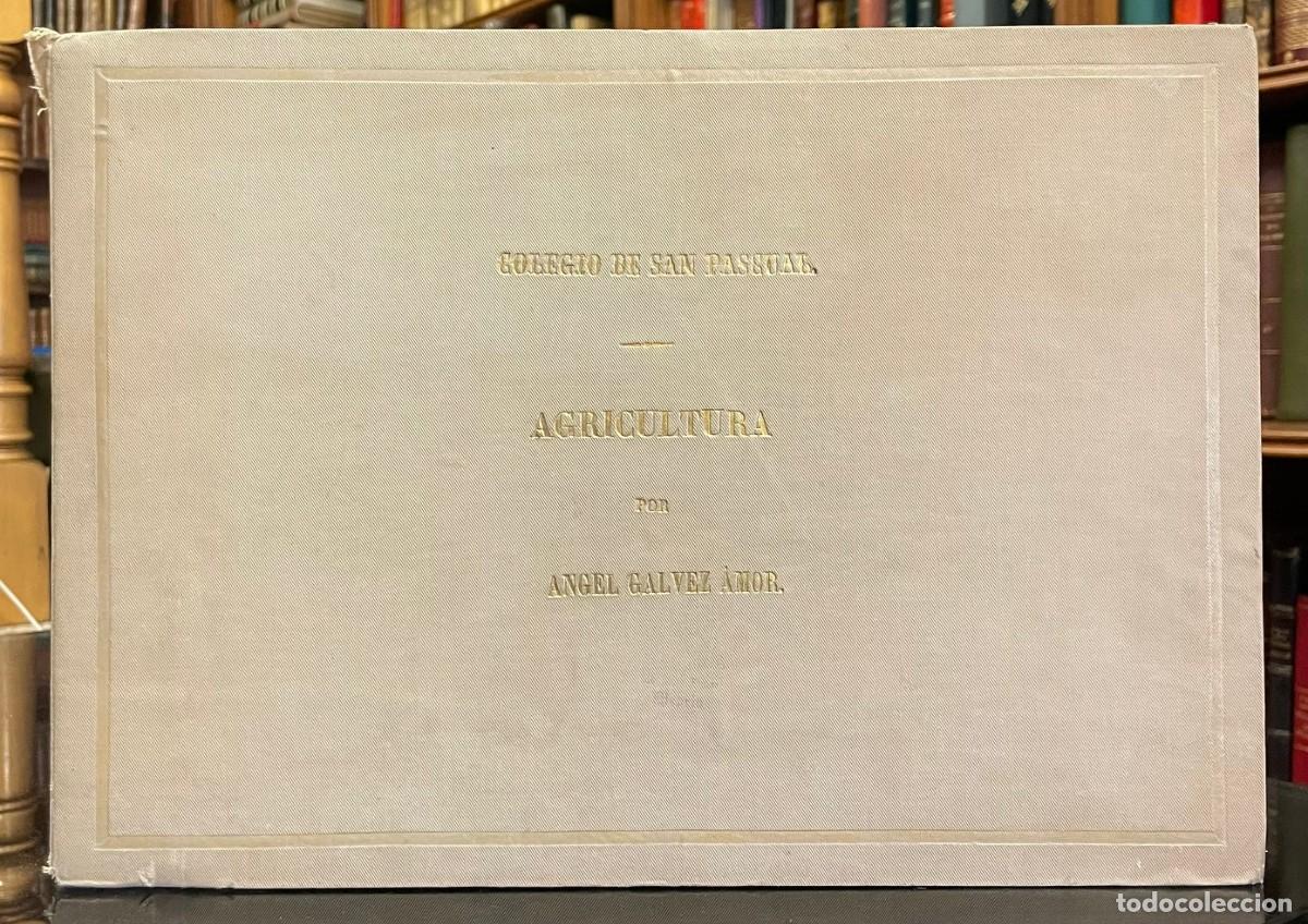 Libros antiguos: Colegio de San Pascual. Agricultura. &Aacute;ngel G&aacute;lvez &Aacute;mor .