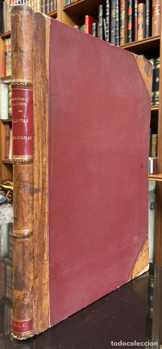 Old books: Sinonimia Vulgar y Cient&iacute;fica de las Plantas Mexicanas. Jos&eacute; Ram&iacute;rez. Gabriel V. Alcocer .