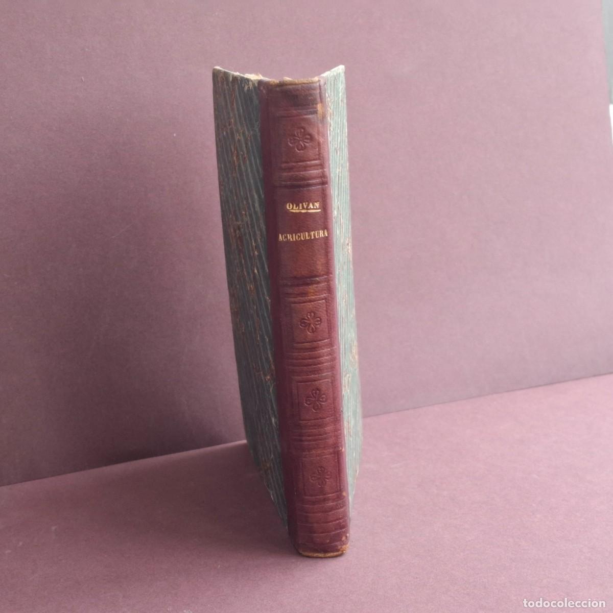 Libros antiguos: Manual de agricultura - Alejandro Olivan - 1875 - Foto 3