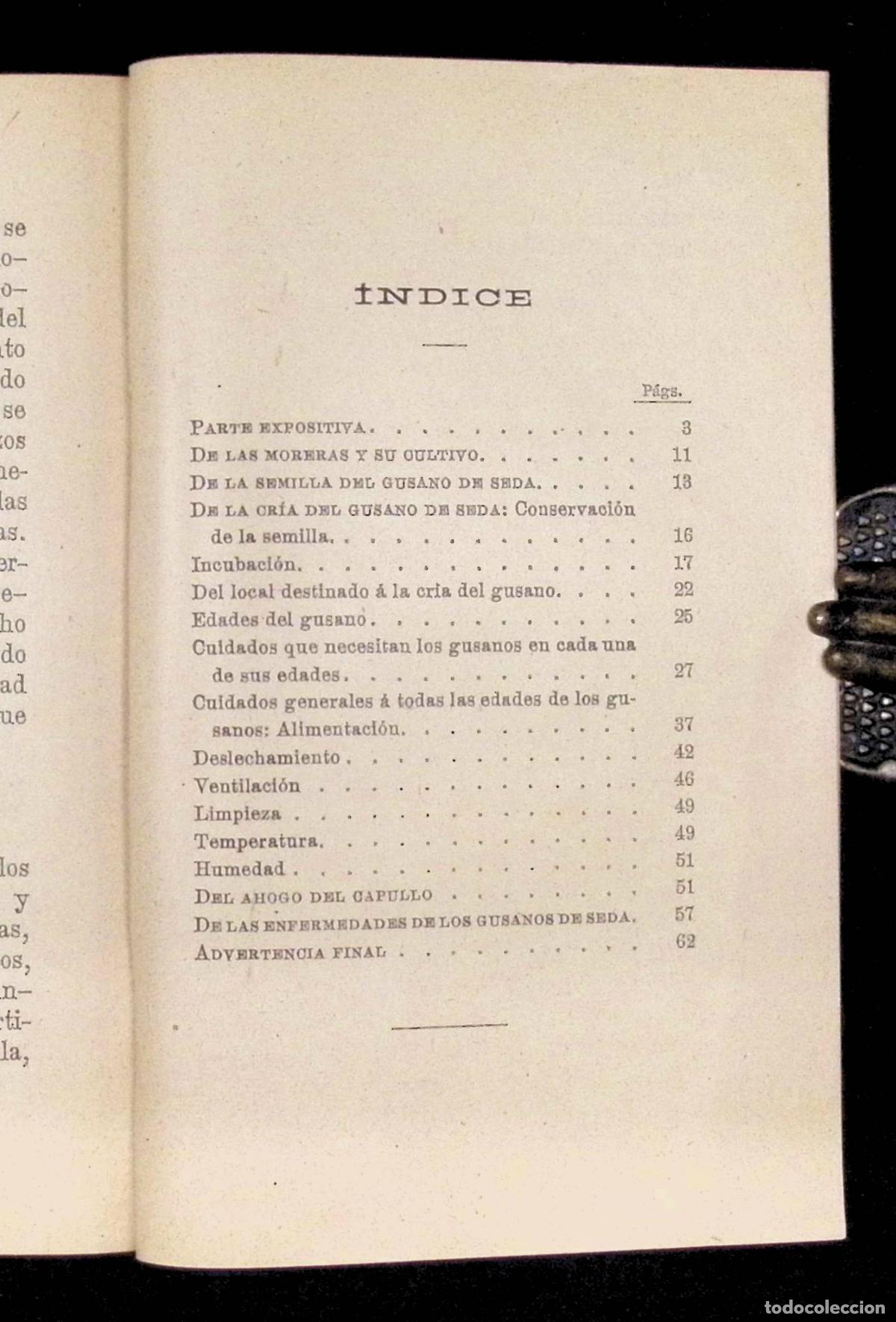 Libros antiguos: COMPENDIO DE INSTRUCCIONES PARA LA CR&Iacute;A DEL GUSANO DE SEDA. - Foto 3