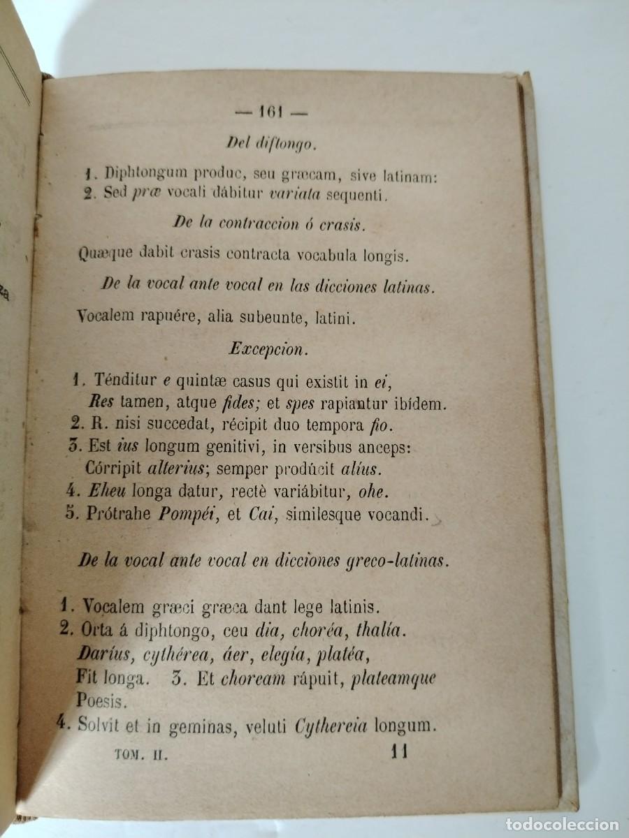 Libros antiguos: Arte de Gr&aacute;matica latina - Foto 10