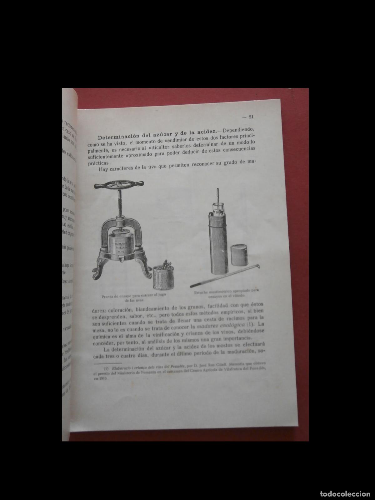 Libros antiguos: Gu&iacute;a Pr&aacute;ctica de Vinificaci&oacute;n Moderna. - Foto 4