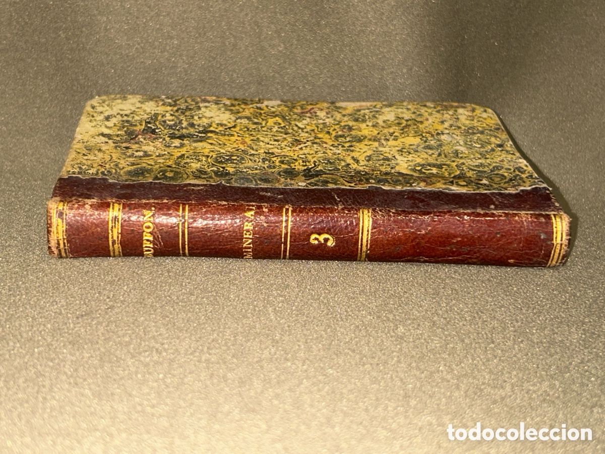 Libros antiguos: LIBRO OBRAS COMPLETAS DE BUFFON TOMO III, MINERA, 1835 - Foto 2
