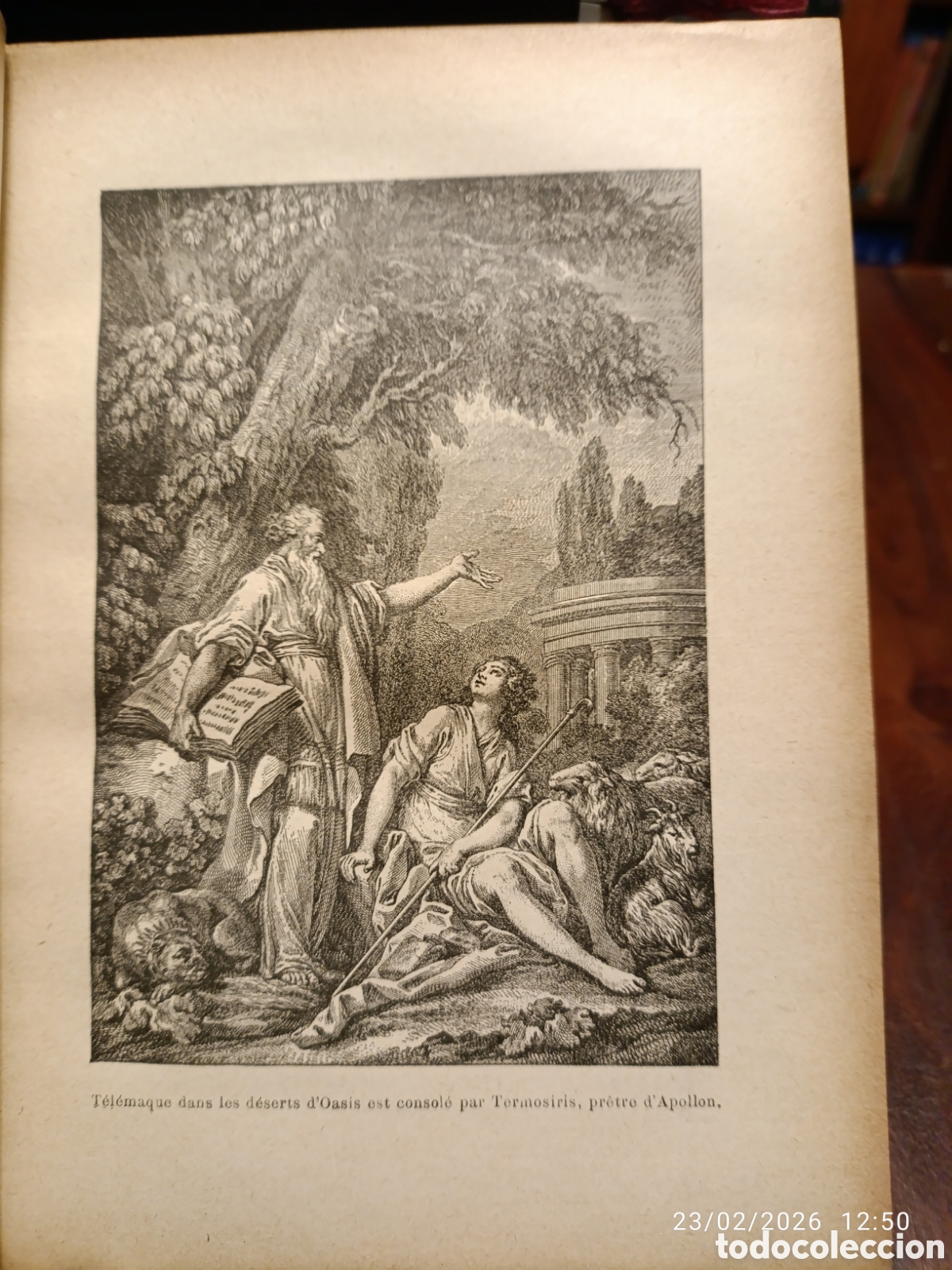 Libros antiguos: Les aventures de Telemaque. Fenelon. Franc&eacute;s - Foto 8