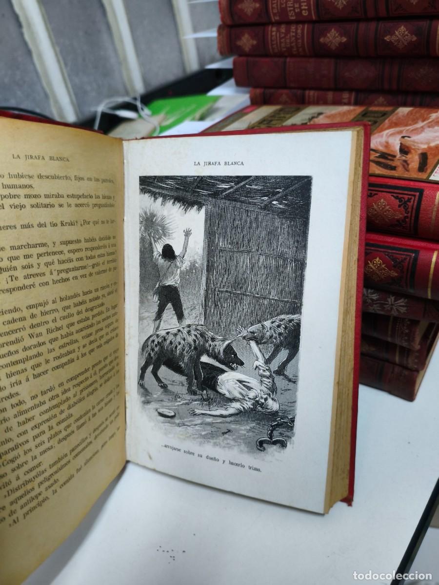 Libros antiguos: La jirafa blanca.- Salgari, Emilio. Maucci. - Foto 6