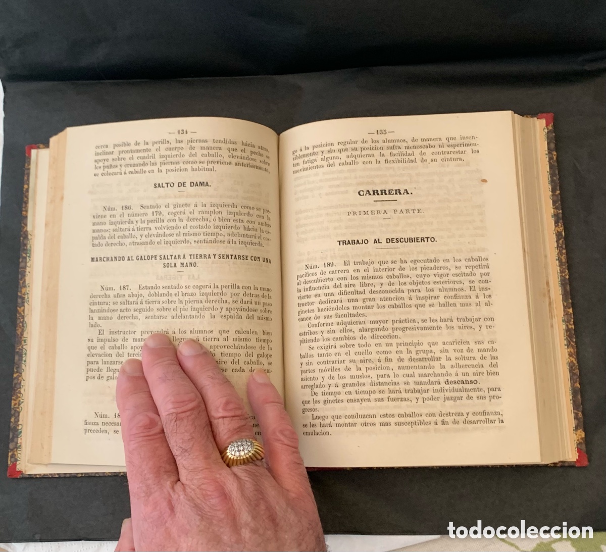 Libros antiguos: TRATADO DE EQUITACI&Oacute;N. Manuel Guti&eacute;rrez Herr&aacute;n.1863 - Foto 8
