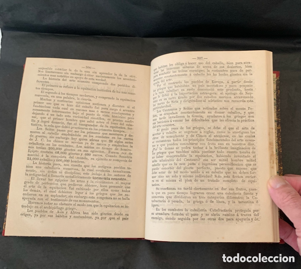 Libros antiguos: TRATADO DE EQUITACI&Oacute;N. Manuel Guti&eacute;rrez Herr&aacute;n.1863 - Foto 9