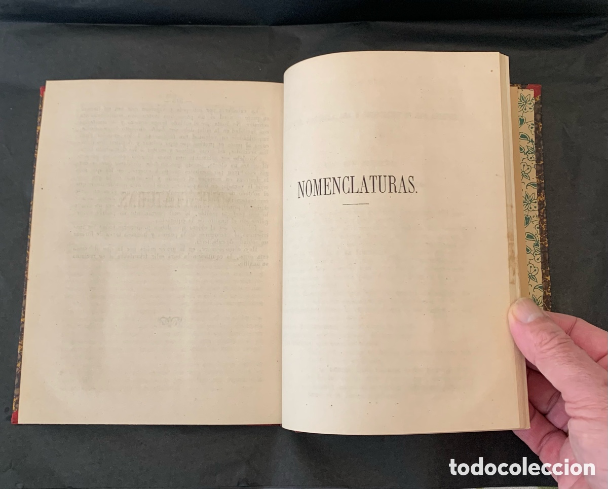 Libros antiguos: TRATADO DE EQUITACI&Oacute;N. Manuel Guti&eacute;rrez Herr&aacute;n.1863 - Foto 10