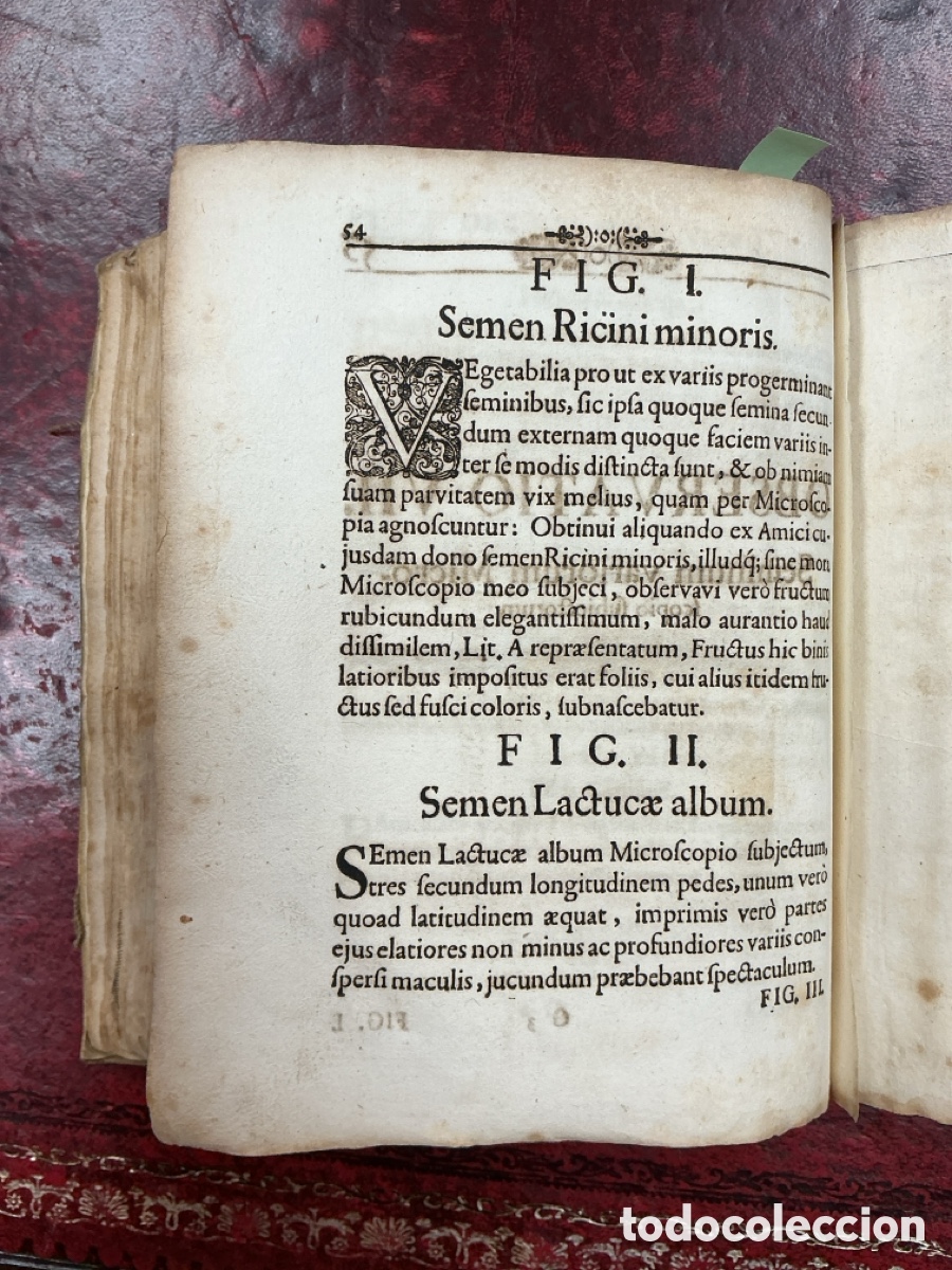 Libros antiguos: MICROGRAPHIA NOVA - 1687 - Foto 4