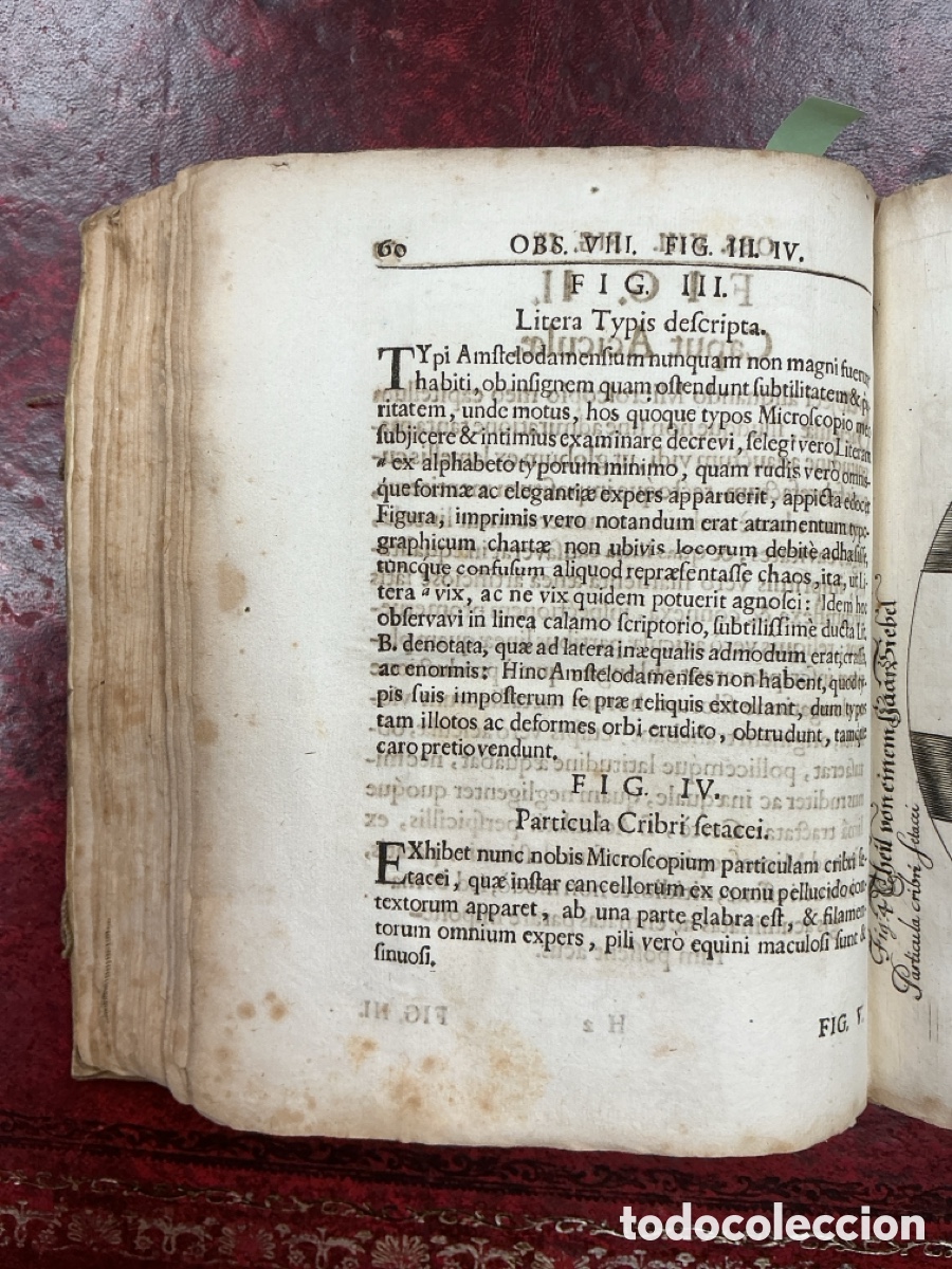 Libros antiguos: MICROGRAPHIA NOVA - 1687 - Foto 5