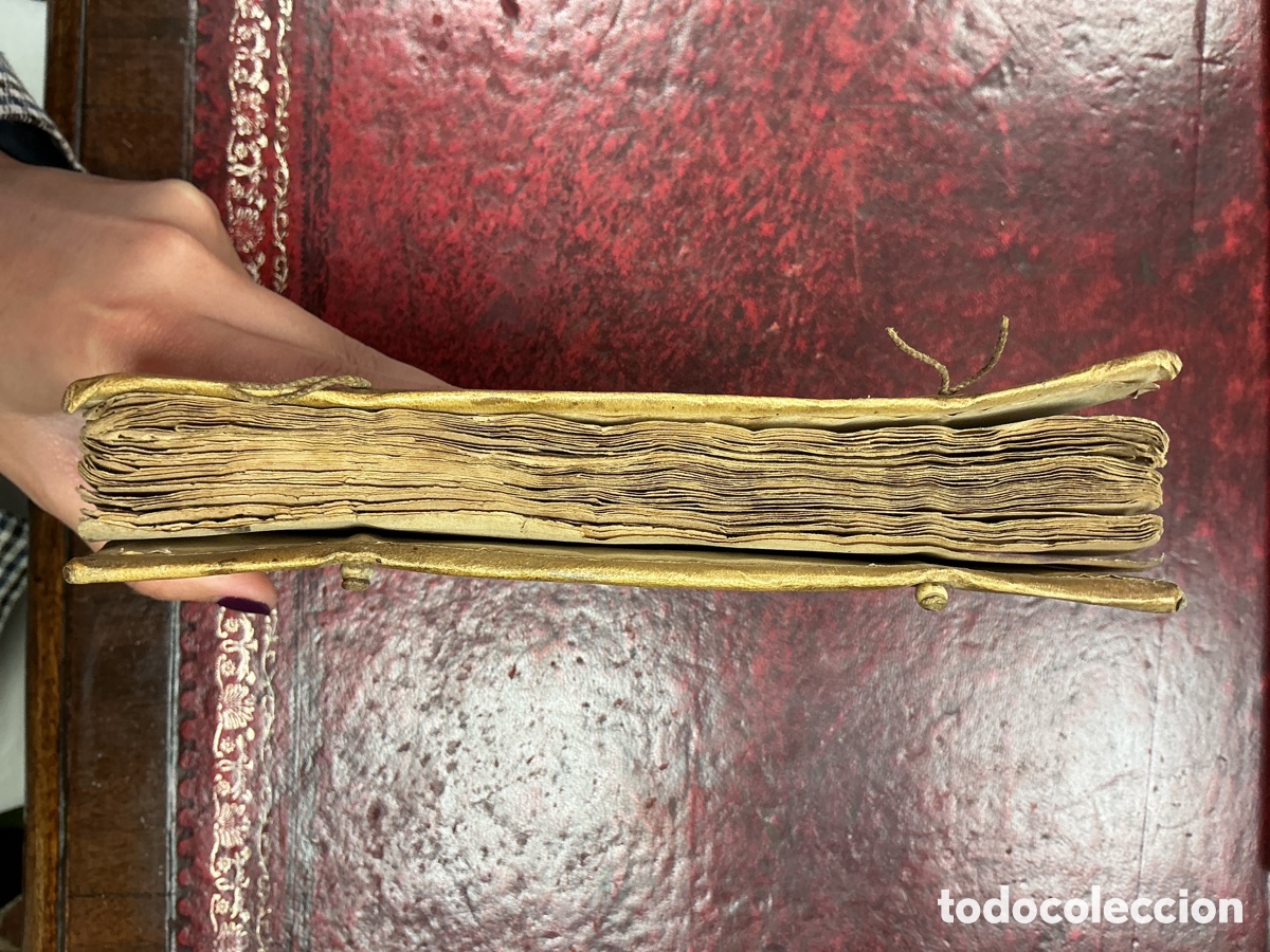 Libros antiguos: MICROGRAPHIA NOVA - 1687 - Foto 6