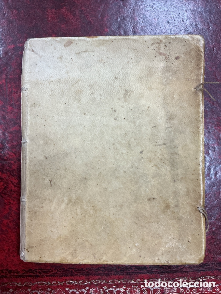 Libros antiguos: MICROGRAPHIA NOVA - 1687 - Foto 1