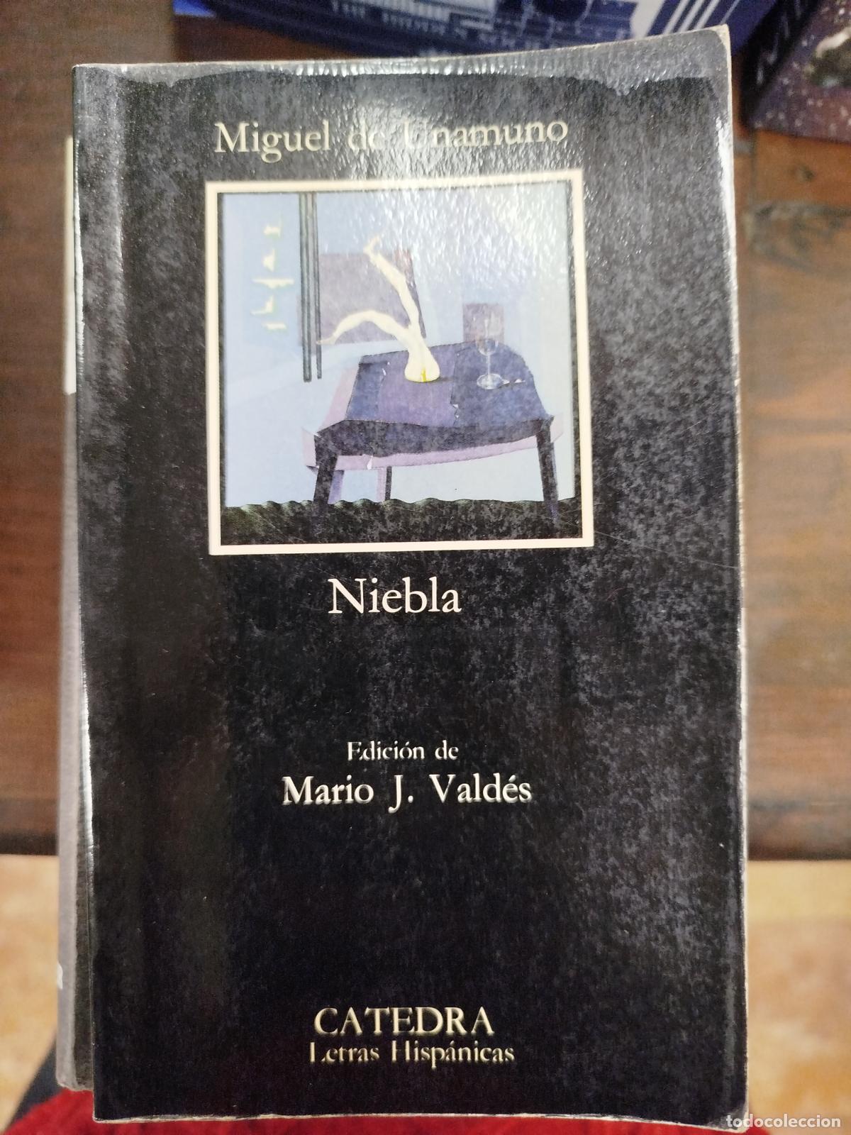 Libros antiguos: NIEBLA - MIGUEL DE UNAMUNO - Foto 1