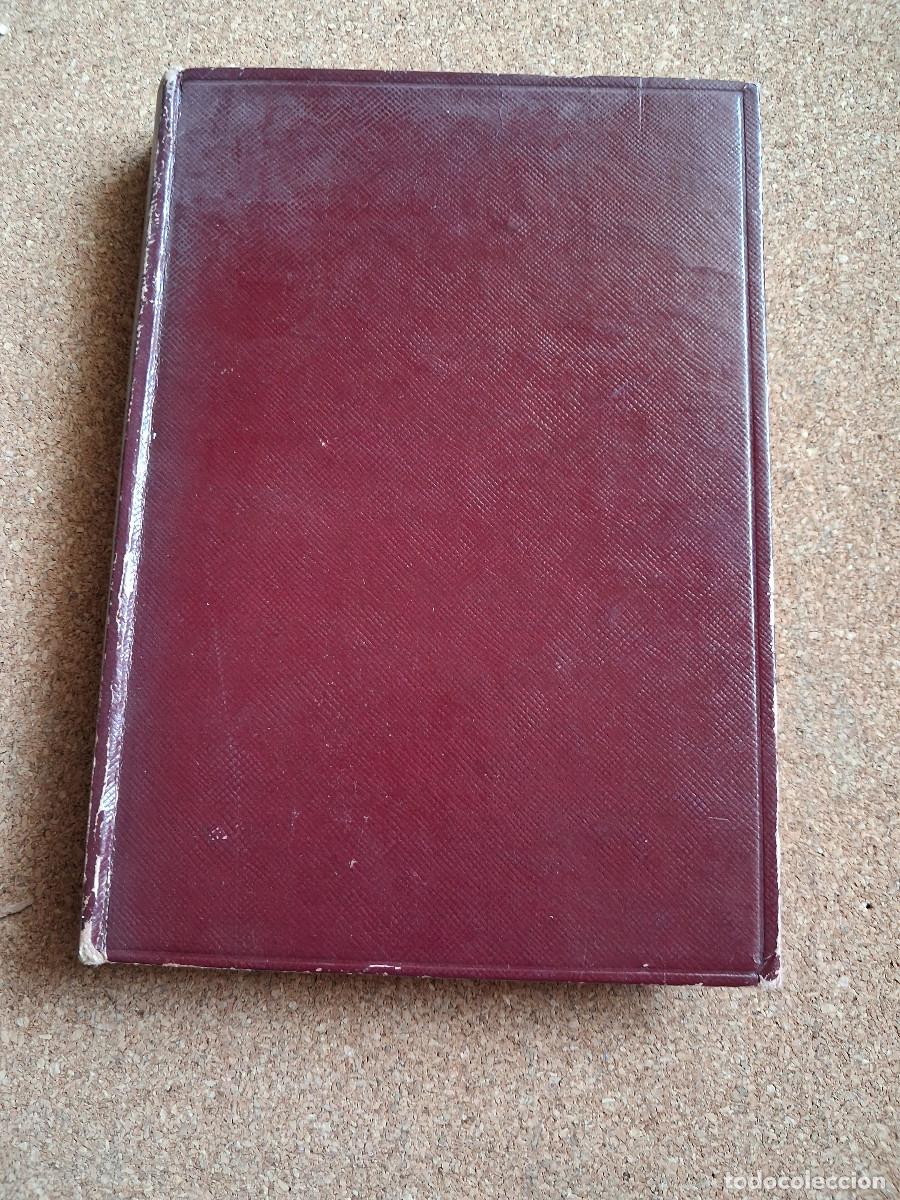 Libros antiguos: Le cercle de famille. Maurois (Andr&eacute;) - Foto 1