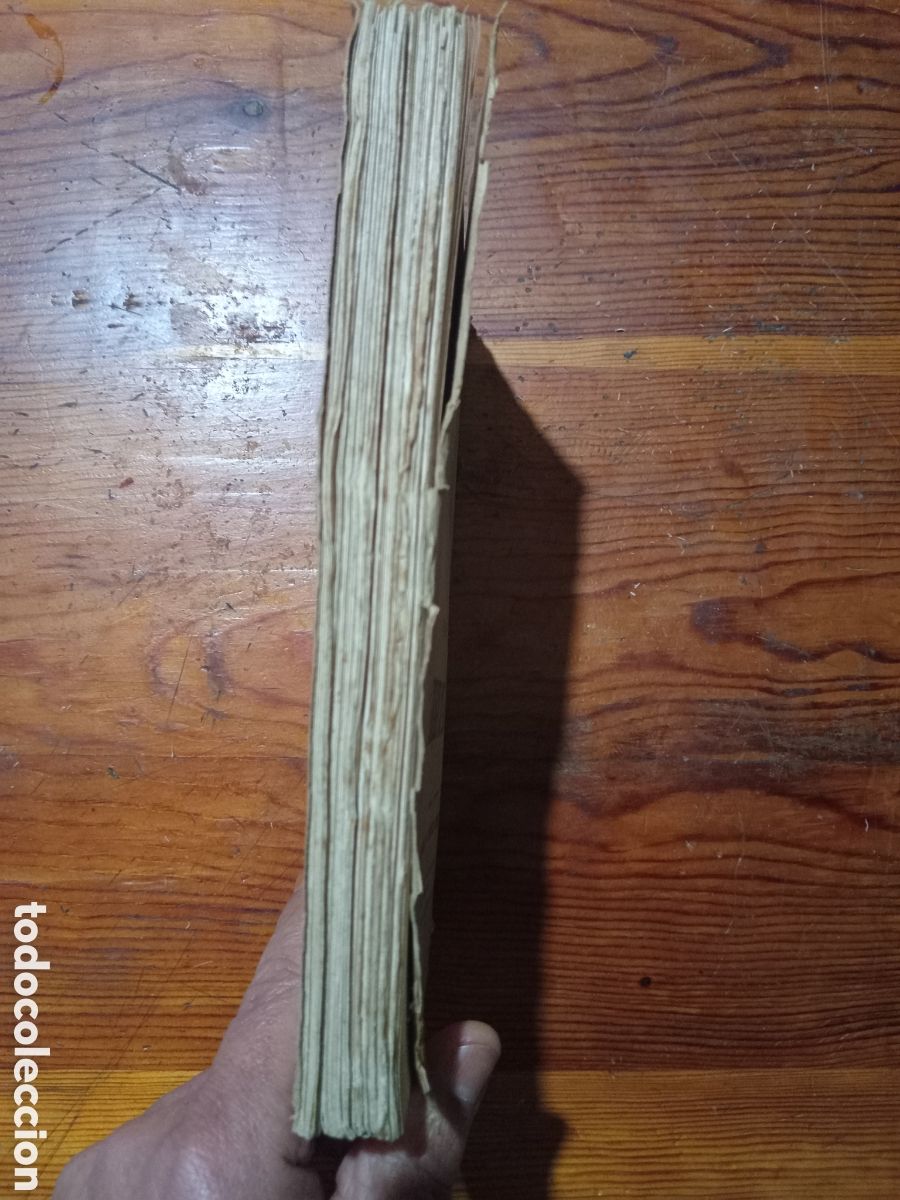 Libros antiguos: DEL &Aacute;RBOL DE LAS HESP&Eacute;RIDES - Foto 4