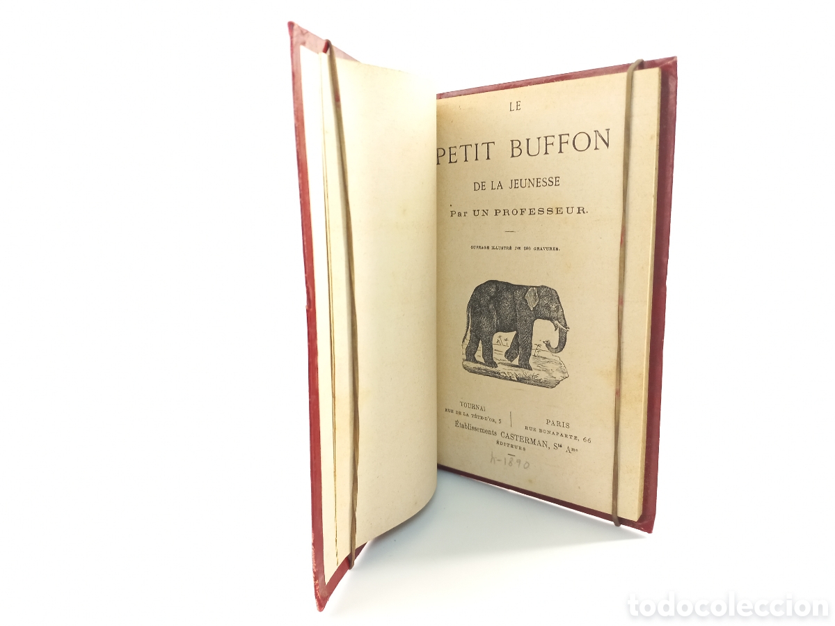 Libros antiguos: Le petit Buffon de la Jeunesse. Casterman Editeur. - Foto 4