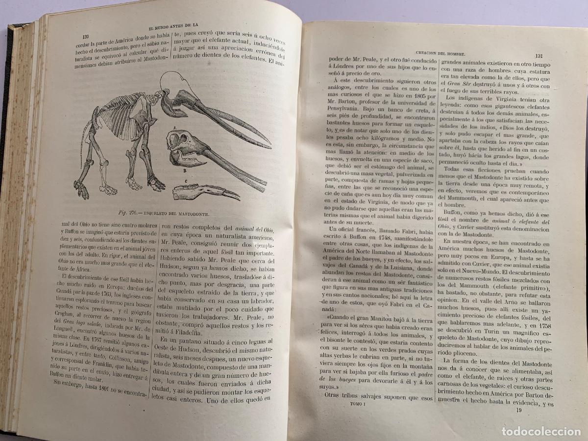Libros antiguos: El origen del hombre de Zimmermann - Foto 3