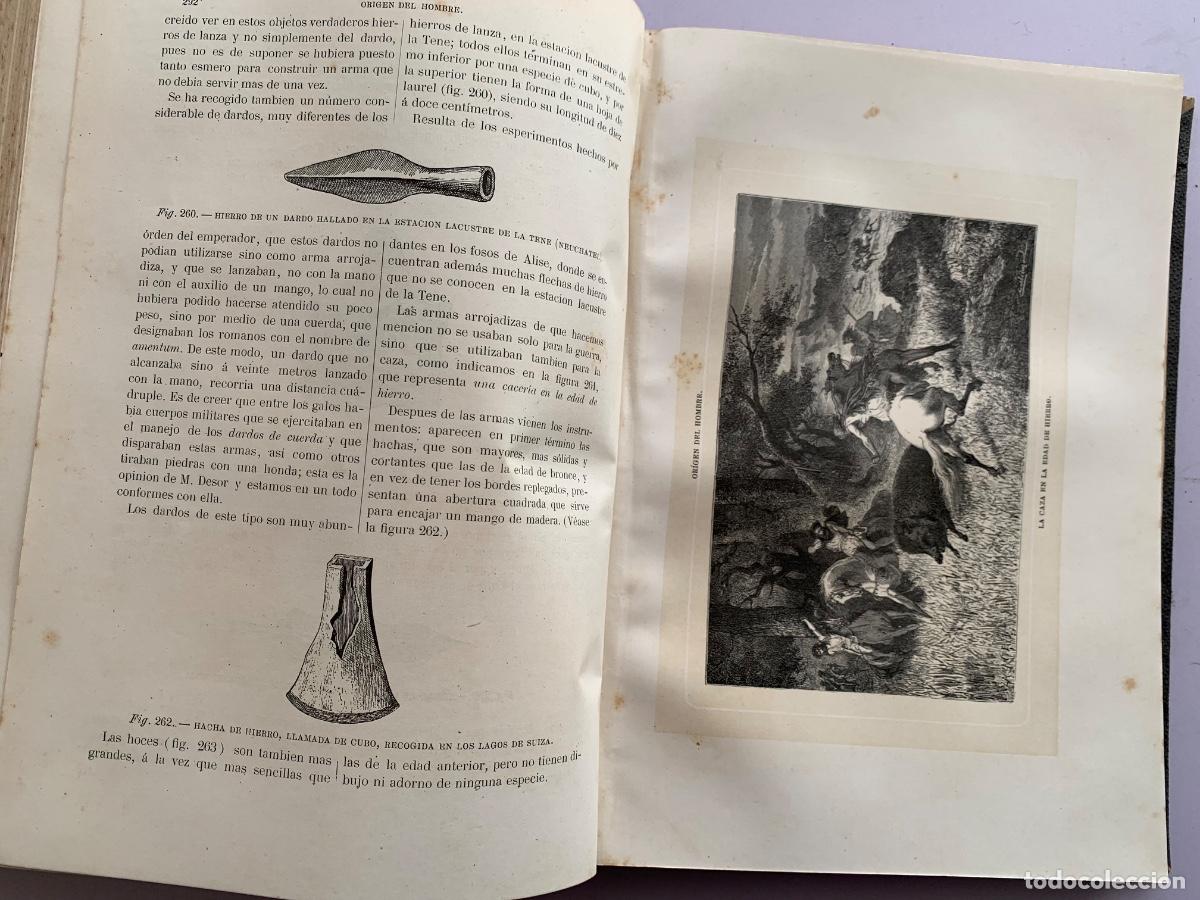 Libros antiguos: El origen del hombre de Zimmermann - Foto 5