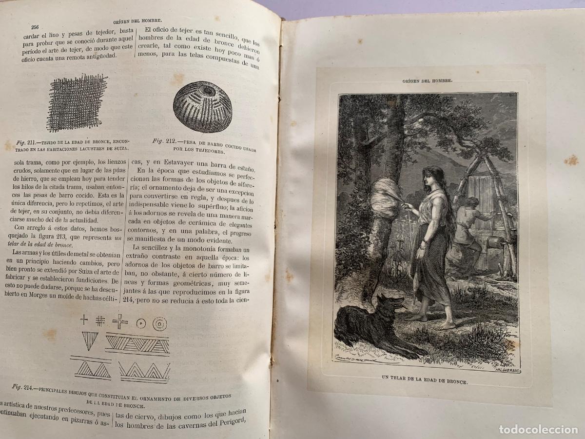 Libros antiguos: El origen del hombre de Zimmermann - Foto 6