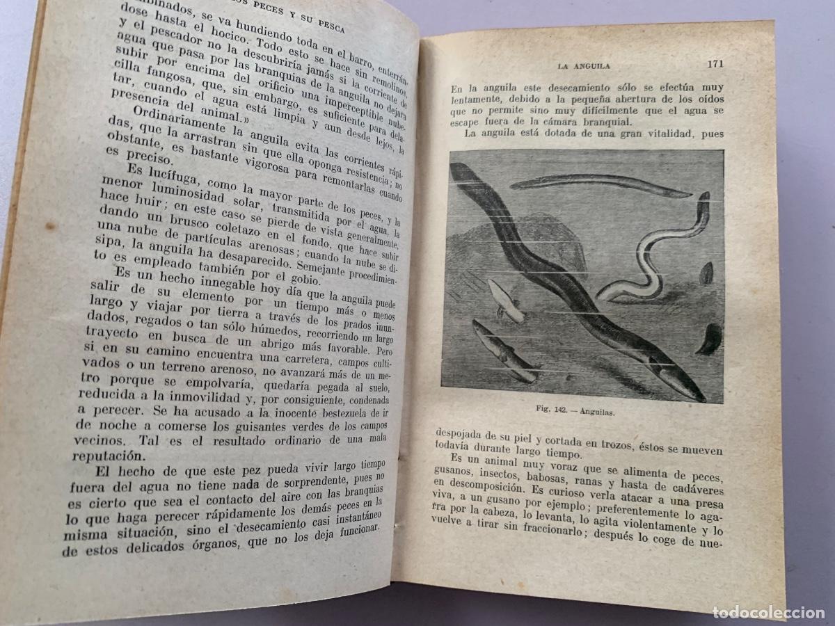 Libros antiguos: La pesca y los peces de Agua dulce (Bols 48) - Foto 3