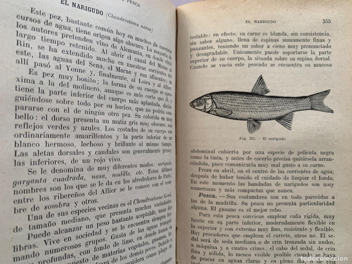Libros antiguos: La pesca y los peces de Agua dulce (Bols 48) - Foto 4